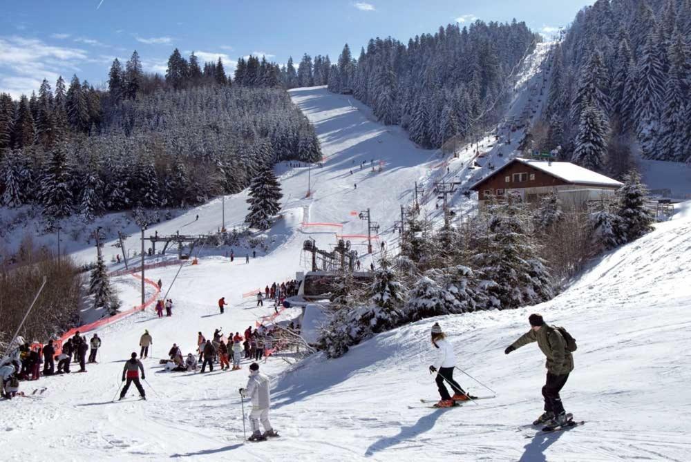 Au Chalet D'Aline - Atypique Pour 4 Personnes Gérardmer Buitenkant foto